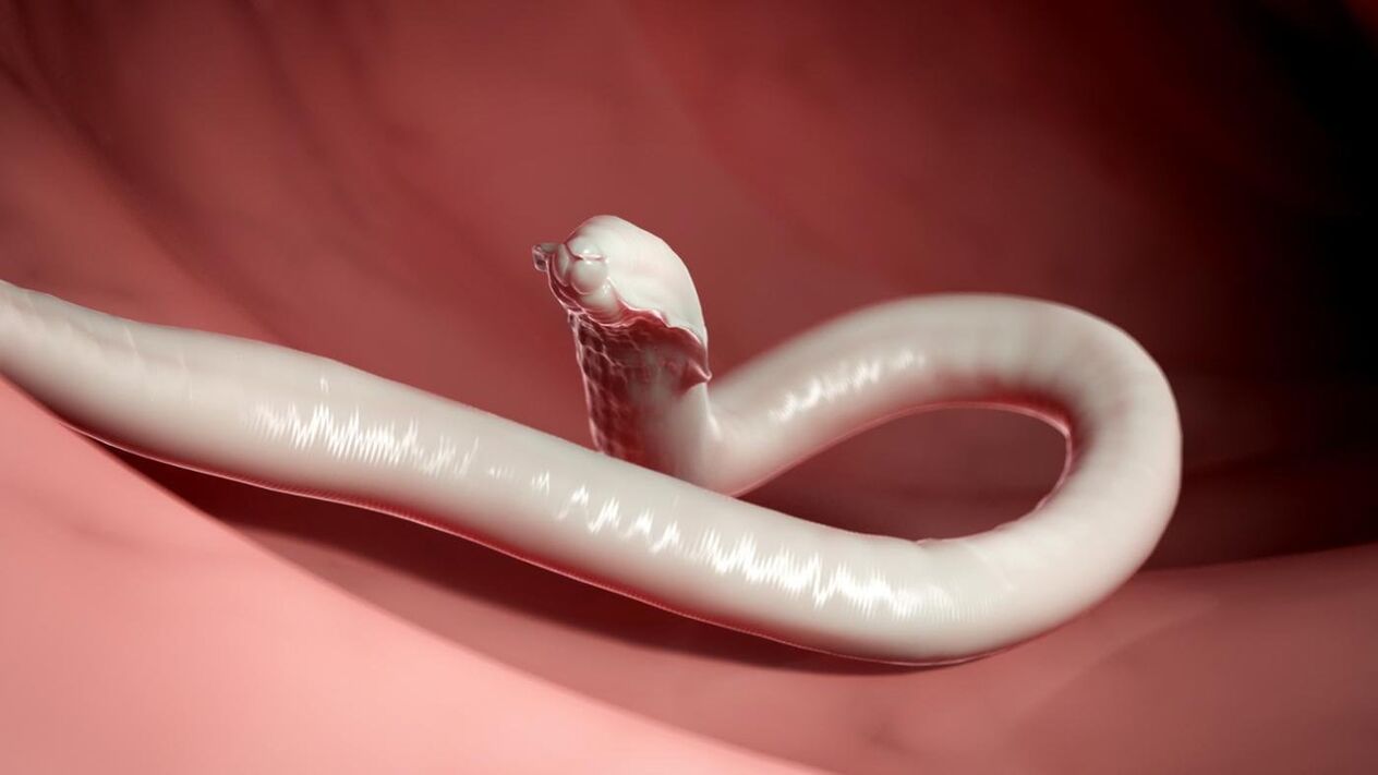 ver parasite des humains