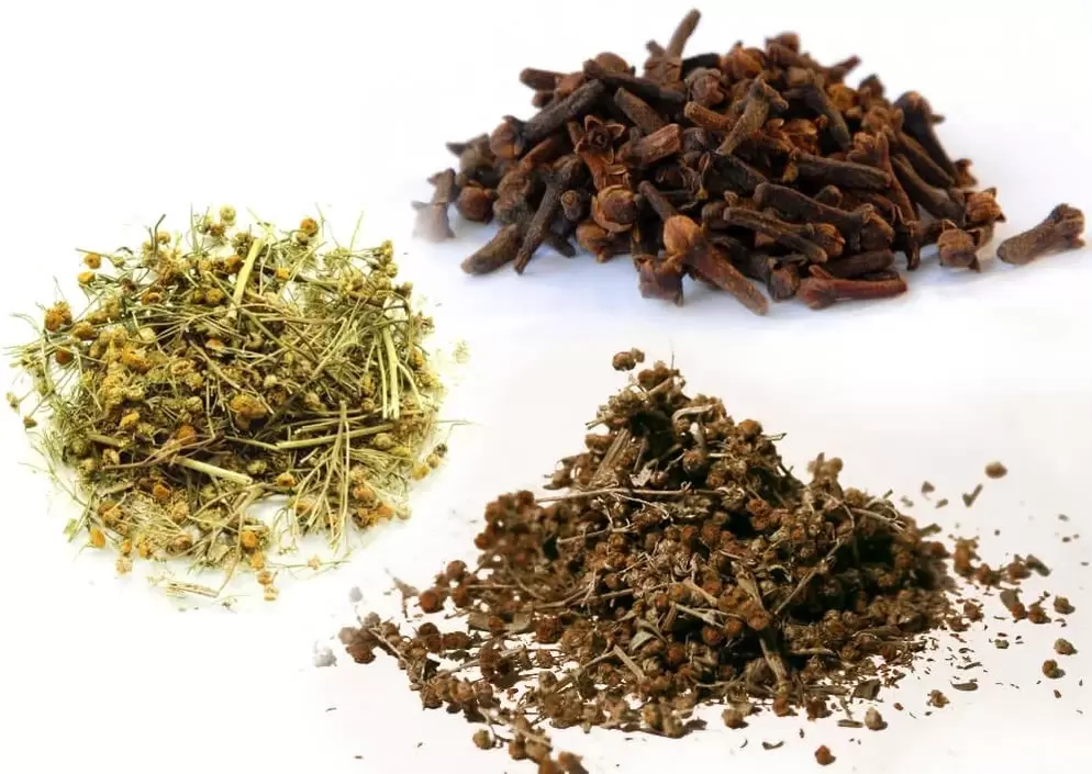 herbes pour éliminer les parasites